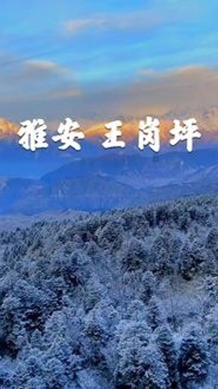 过几天就八月份了，时间过得真快，这日子过得一点油水都没有？