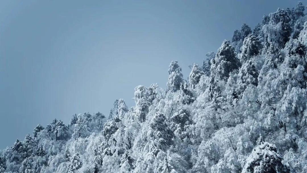 农银汇理时事点评：大涨！A股市场情绪转暖