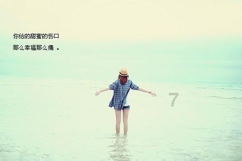 披萨找不同